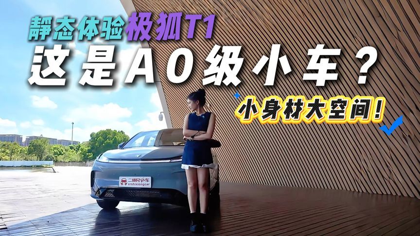 惊掉下巴！极狐T1静态品鉴，这么大空间的A0级小车？