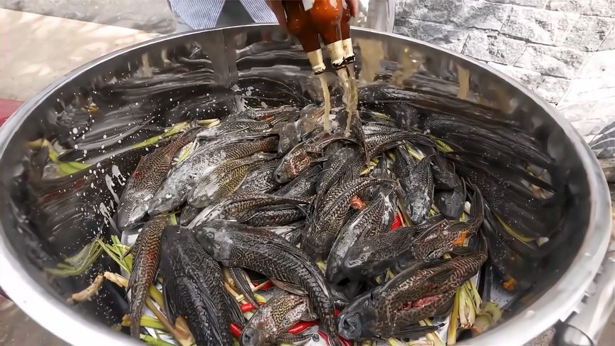 我们嫌弃的清道夫鱼，看一下东南亚人怎么烹饪吃的，开眼界了