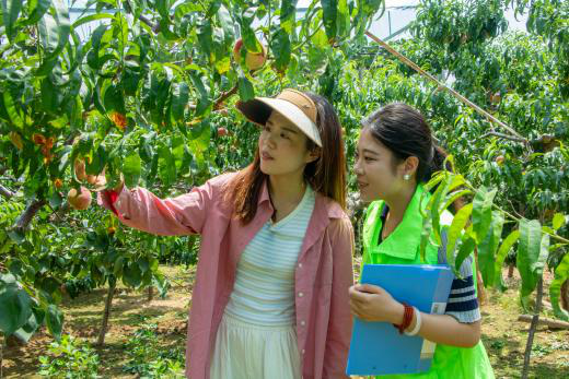 筑梦乡旅赋能乡村振兴 双向奔赴担当青春使命