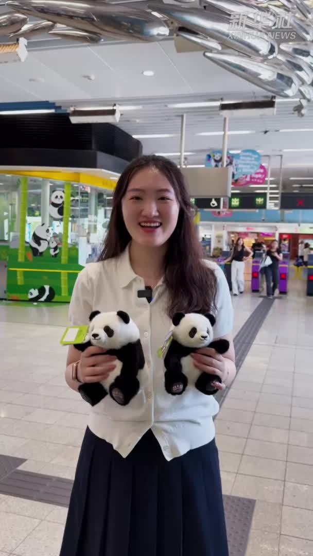 在香港 大熊猫生日怎么过？