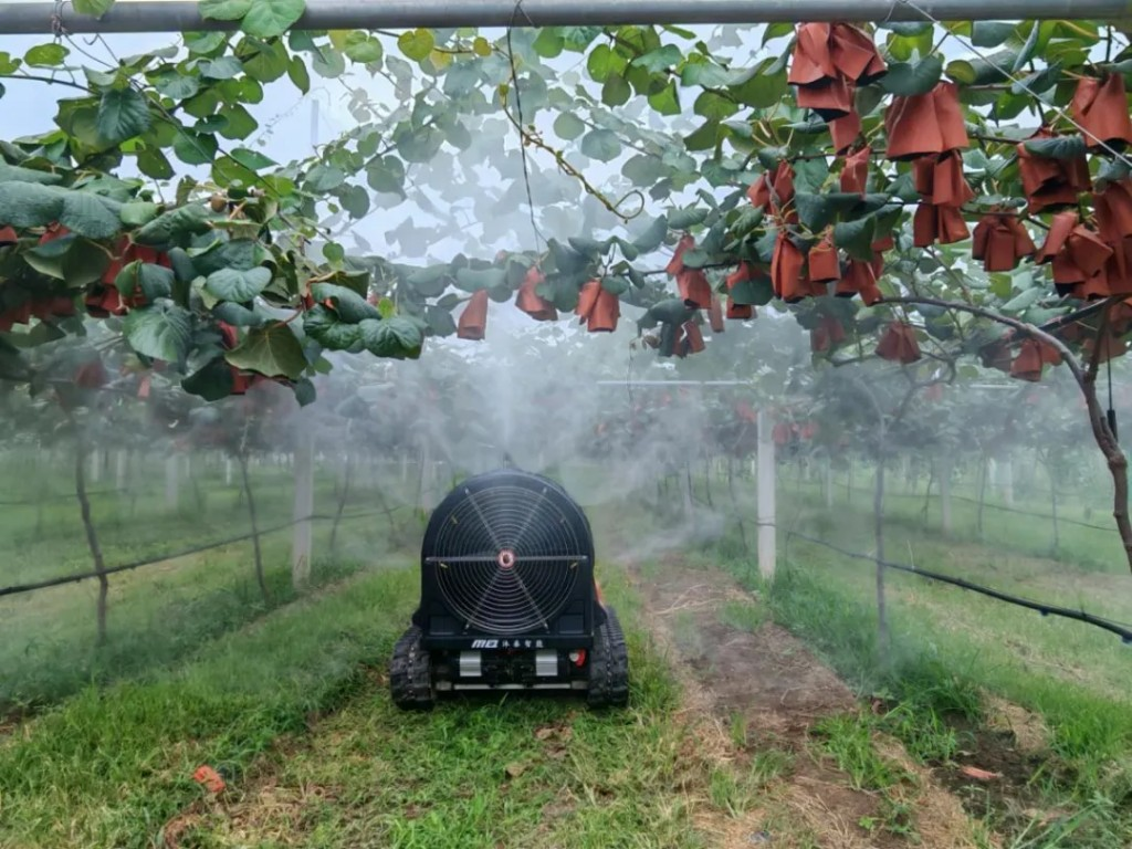 图为：植保机器人在果园内开展雾化作业。（西安报业全媒体首席记者 骆妍 摄）