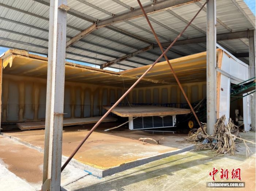 8月7日，位于六道河镇周家庄村原储藏能力500吨的冷库。　　董皓楠 摄