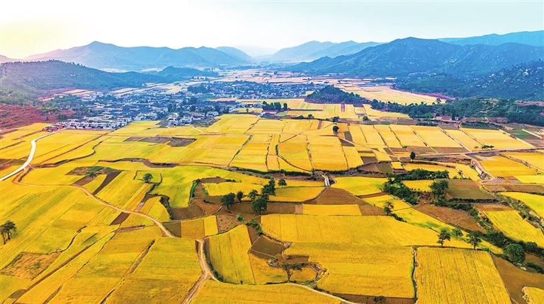 安阳乡村美景。