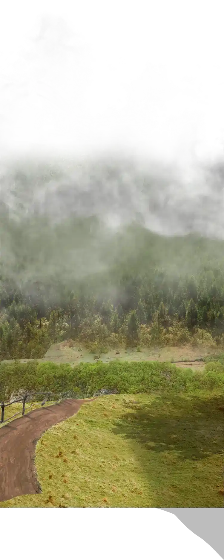 背景图2