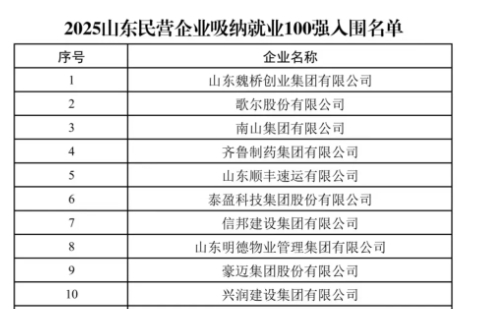 2025山东民营企业吸纳就业100强公示名单中前十强