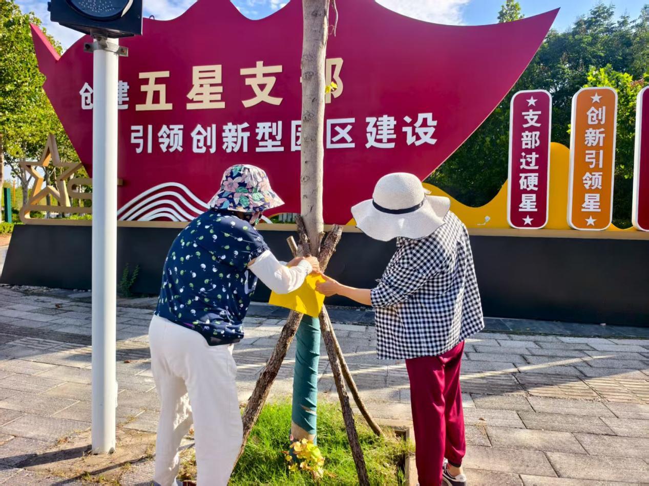 區園林職工懸掛粘蟲板防治白粉虱