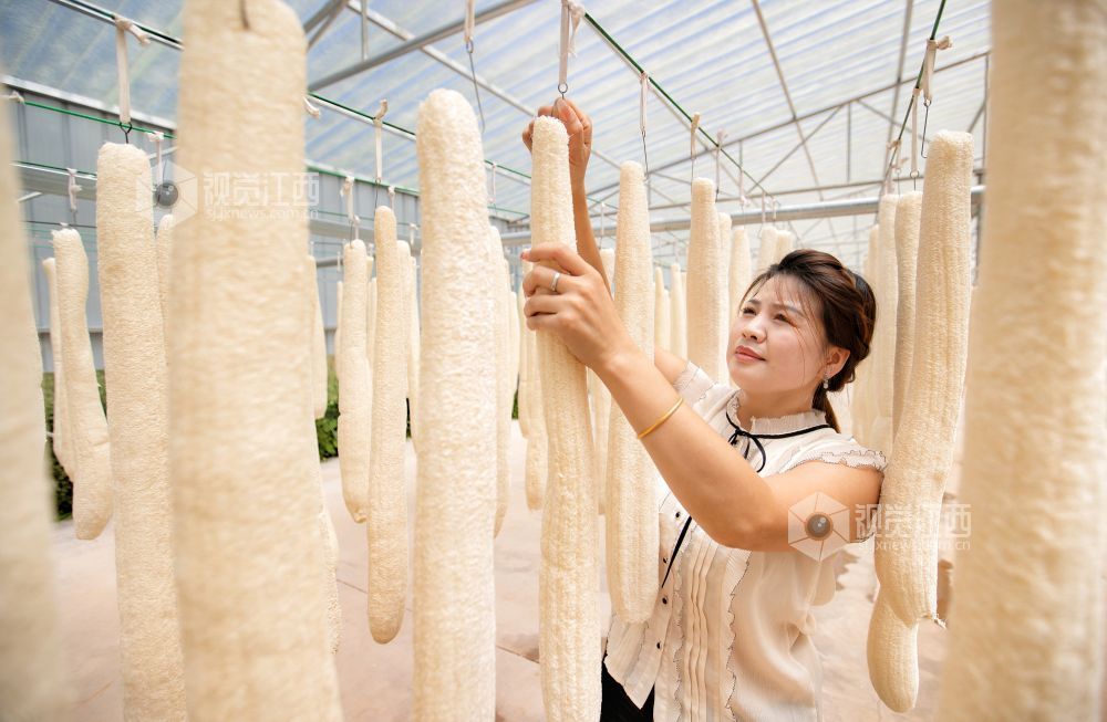 抚州：小丝瓜 大产业（图）