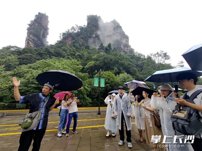 重庆网络达人、旅游博主探秘张家界。 均为长沙晚报通讯员邓道理摄