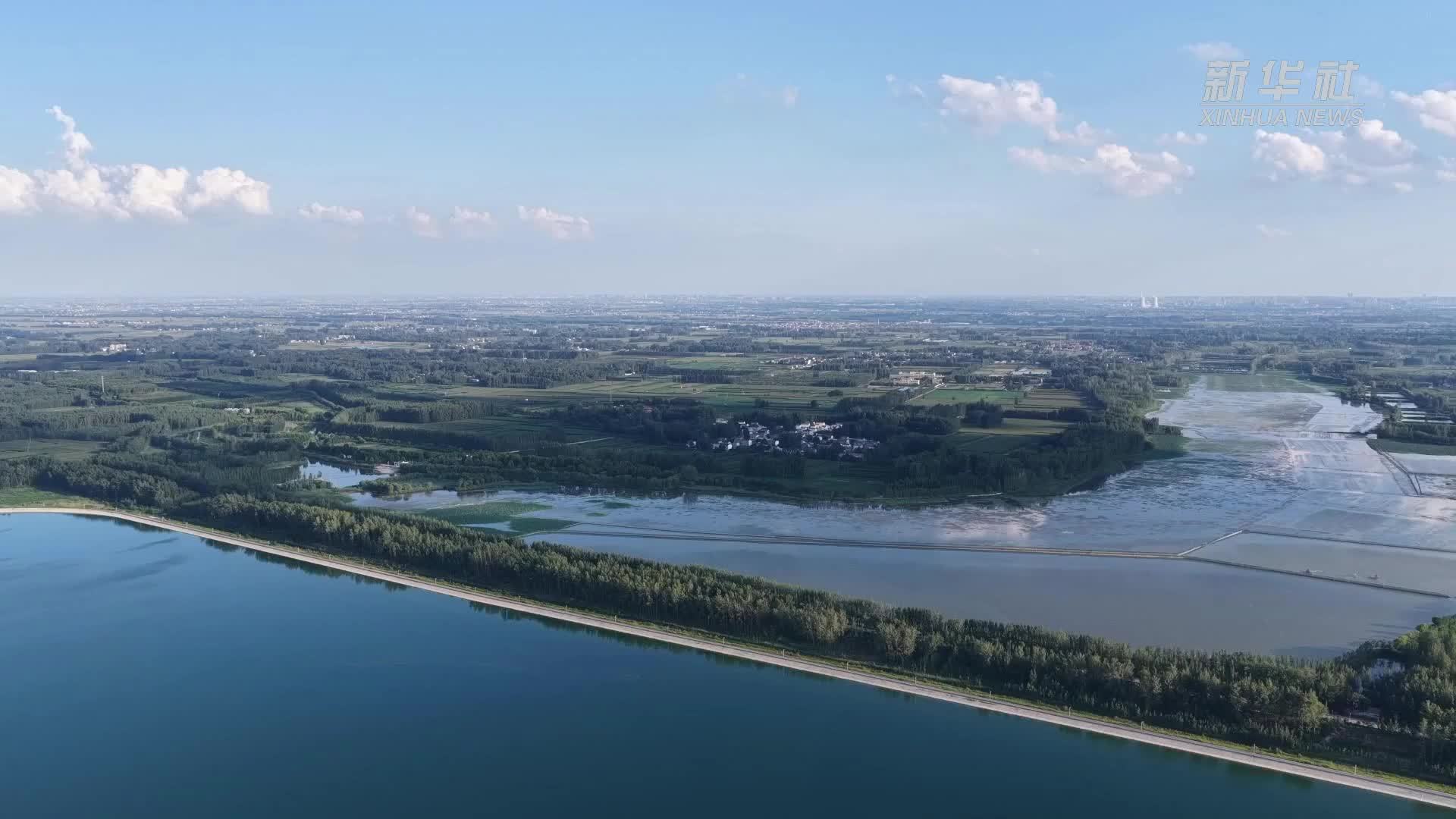 千城胜景｜河南商丘：黄河故道百鸟翔集