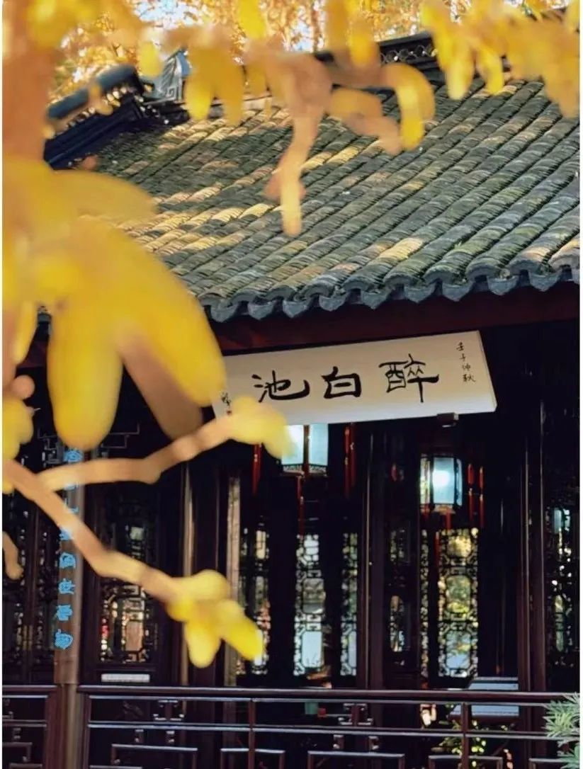 △豫园湖心亭夜景。(图/钱鸣 摄)