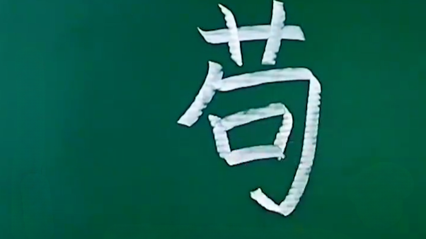 女子称姓“苟”影响工作生活，申请改姓“敬”，警方未批准：谐音歧义非法定理由