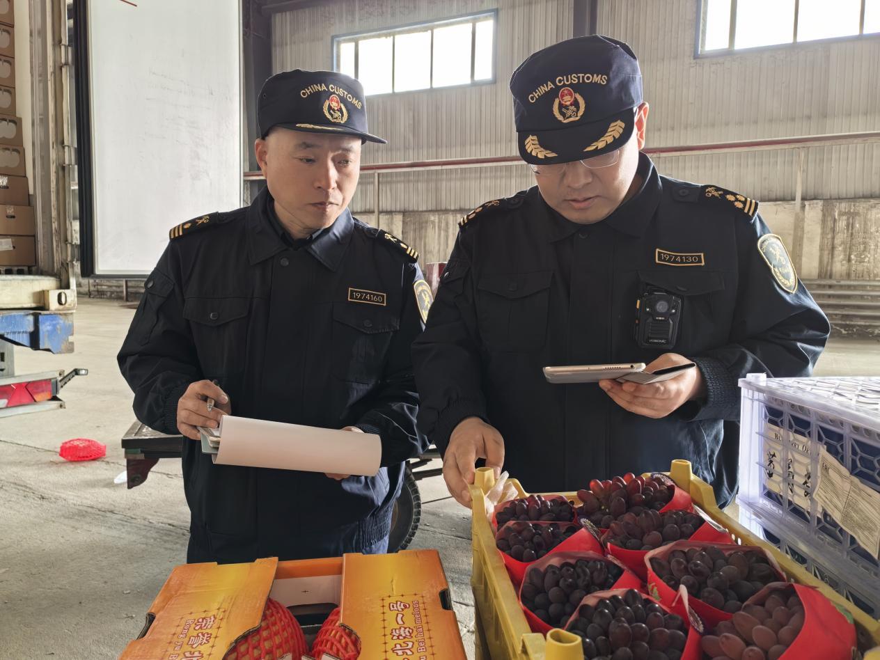 查看进出口记录