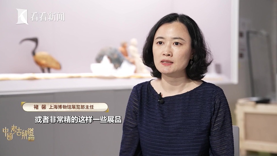 金字塔之巅：上博传奇395天