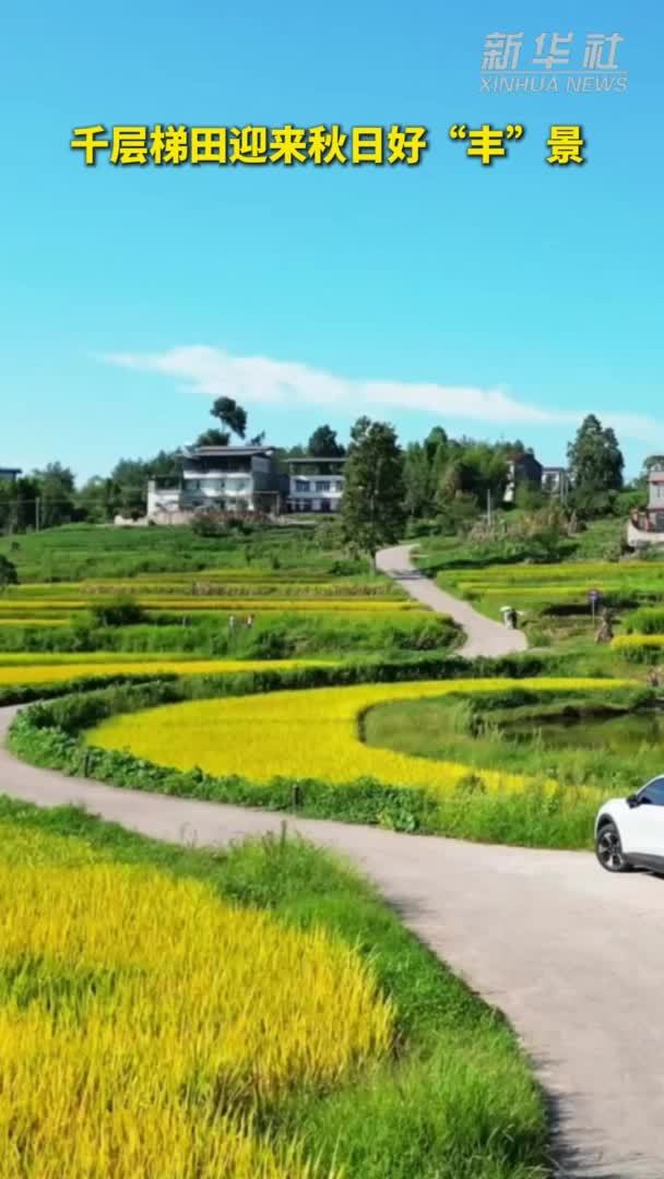 秀我中国｜千层梯田迎来秋日好“丰”景