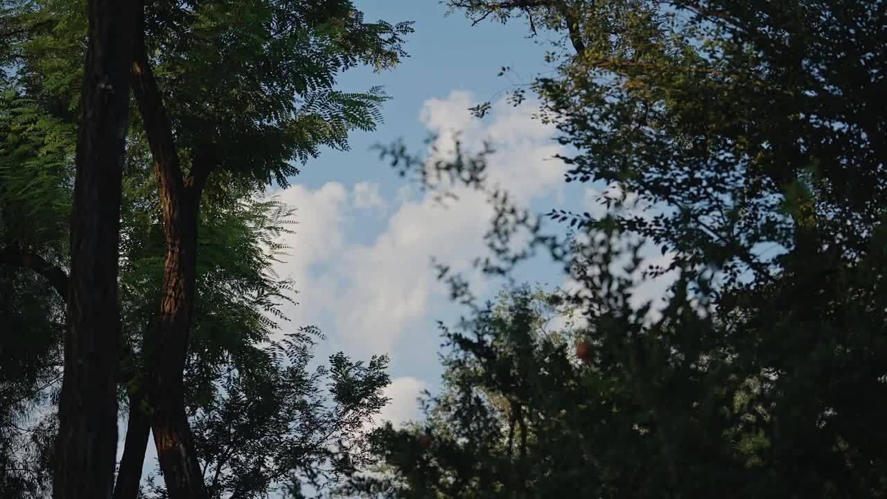 自deepseek面世后，中国 AI 正在改写规则吗？通用智能机器人何时能走进寻常百姓家？ #君品谈 #何以君子 对话朱松纯，听他揭秘AI创新发展的核心瓶颈。8月20日完整版正式上线，敬请期待