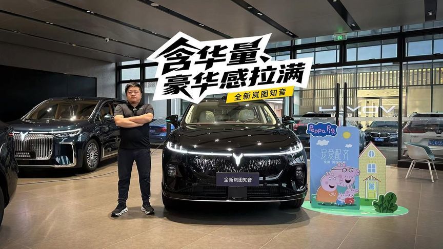 含华量、豪华感拉满，这车居然20万出头就能买到？