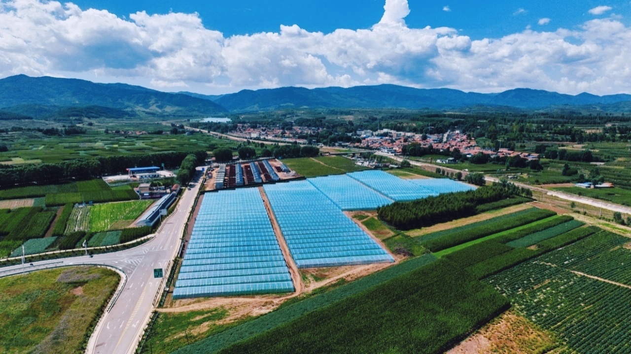 华亭市山寨乡设施蔬菜基地（华亭市融媒体中心供图）