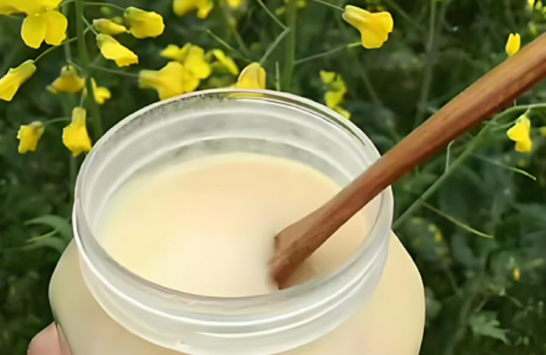 油菜蜜.png