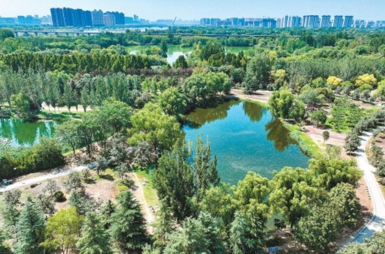 无人机视角下的北辰湖。(记者王健实习生 付子涵 摄)