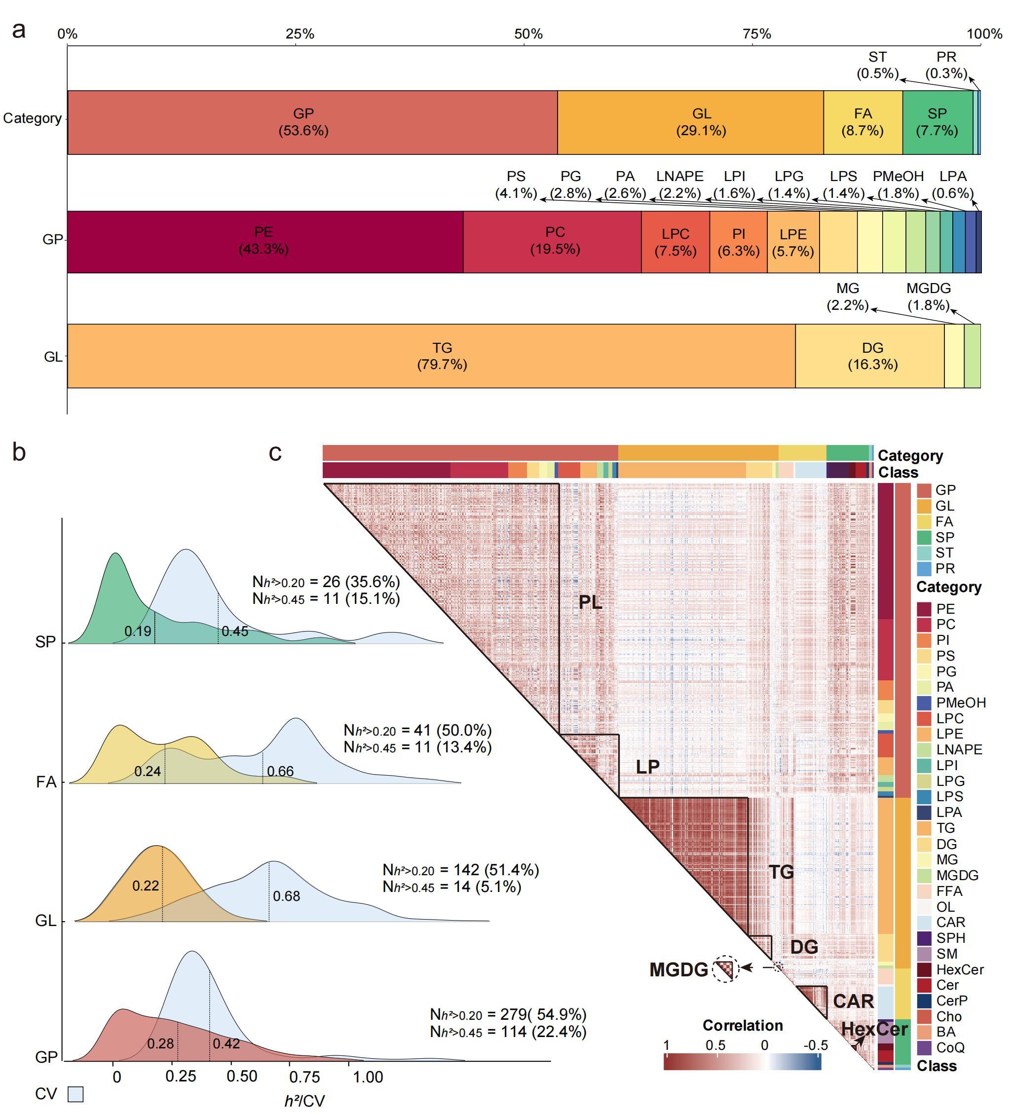图1　绵羊肌肉脂质谱特征分析