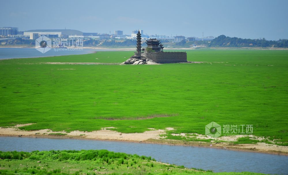 8月21日,镜头下的江西鄱阳湖水域的“千年石岛”落星墩。