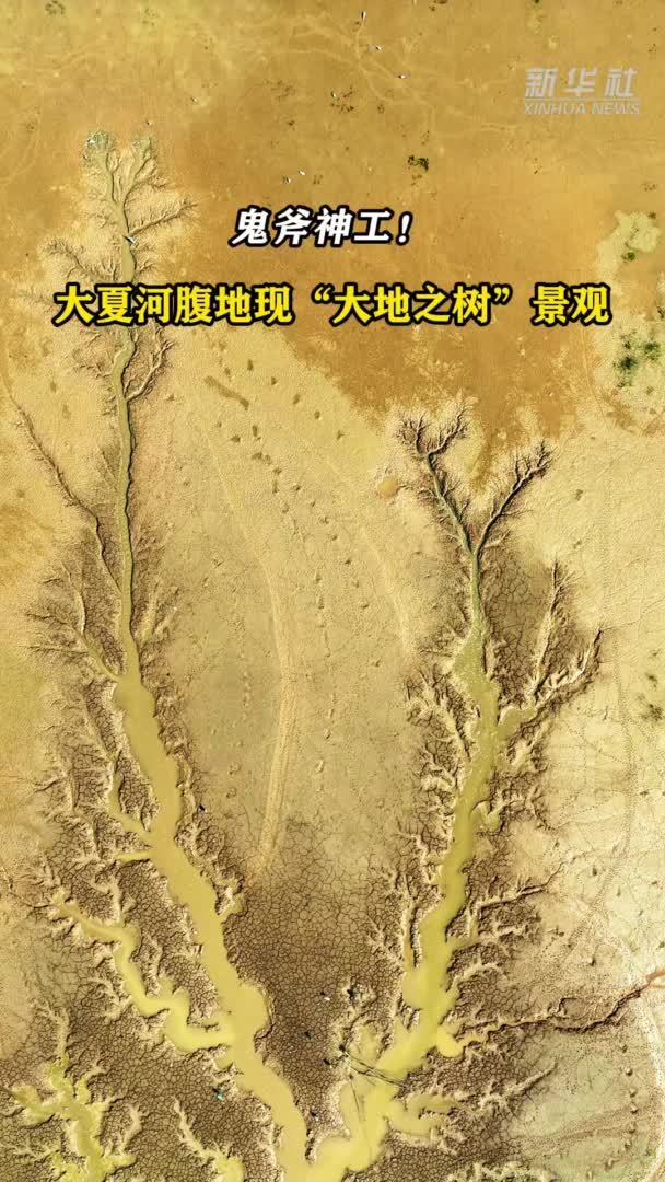 甘肃东乡：河流腹地的“大地之树”