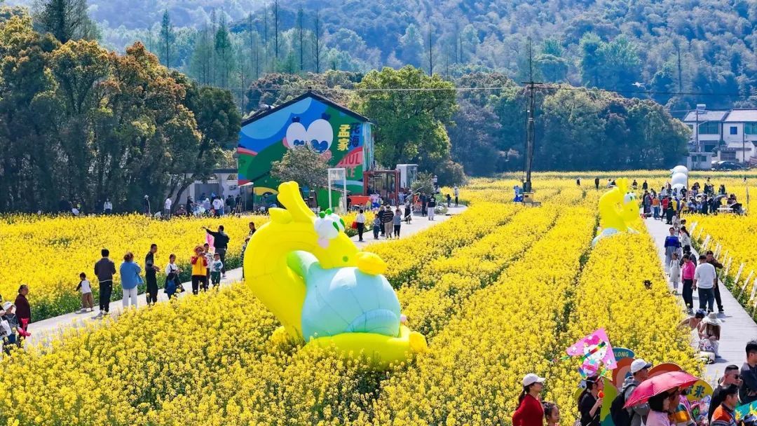 镇海九龙湖村孟家花海成为“网红”打卡点