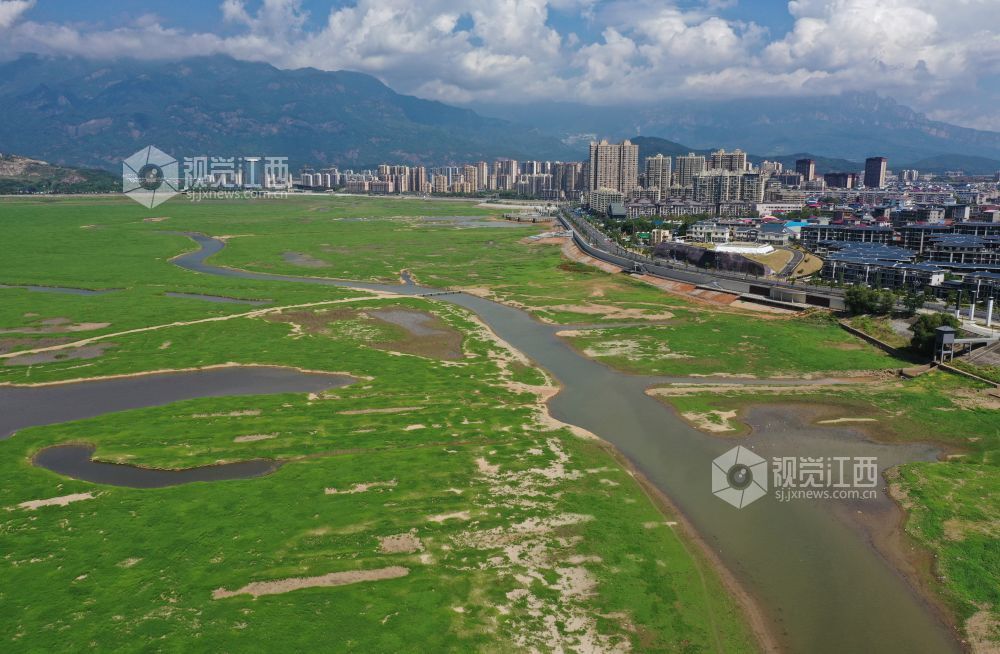 湖床上已经长满绿茵茵的草甸,草色绵延不断,“大草原”景象显现。