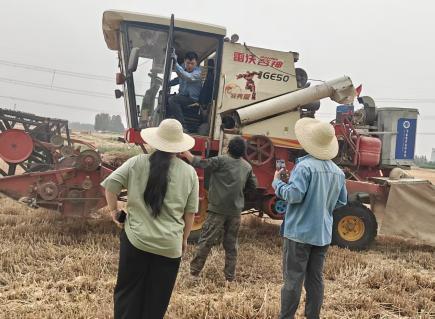 图5 团队通过走访郑州周边5县区麦田
