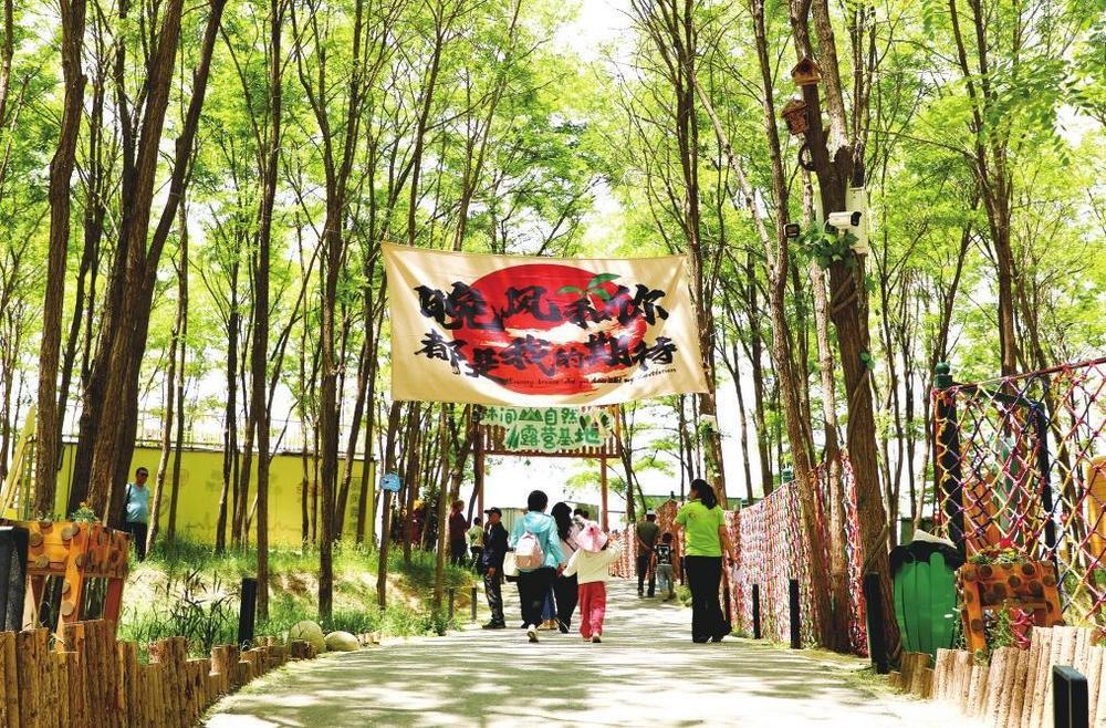 平凉 农文旅融合绘就乡村振兴新画卷凤凰网甘肃_凤凰网