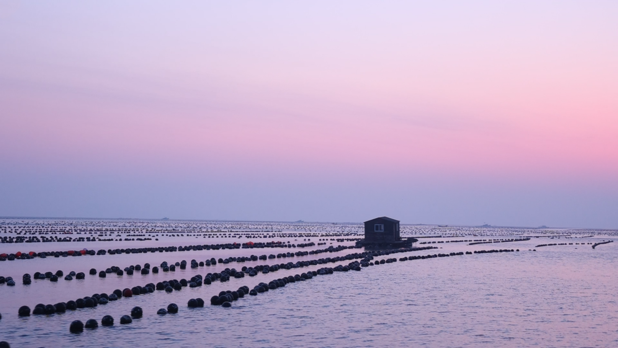 把海洋装进“链”里，威海“鲜”行一步！