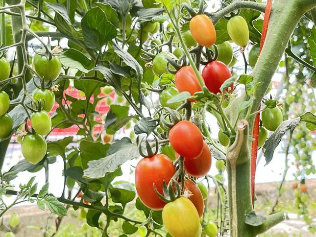 小村庄爆改网红打卡地　华亭这儿的村民吃上旅游饭