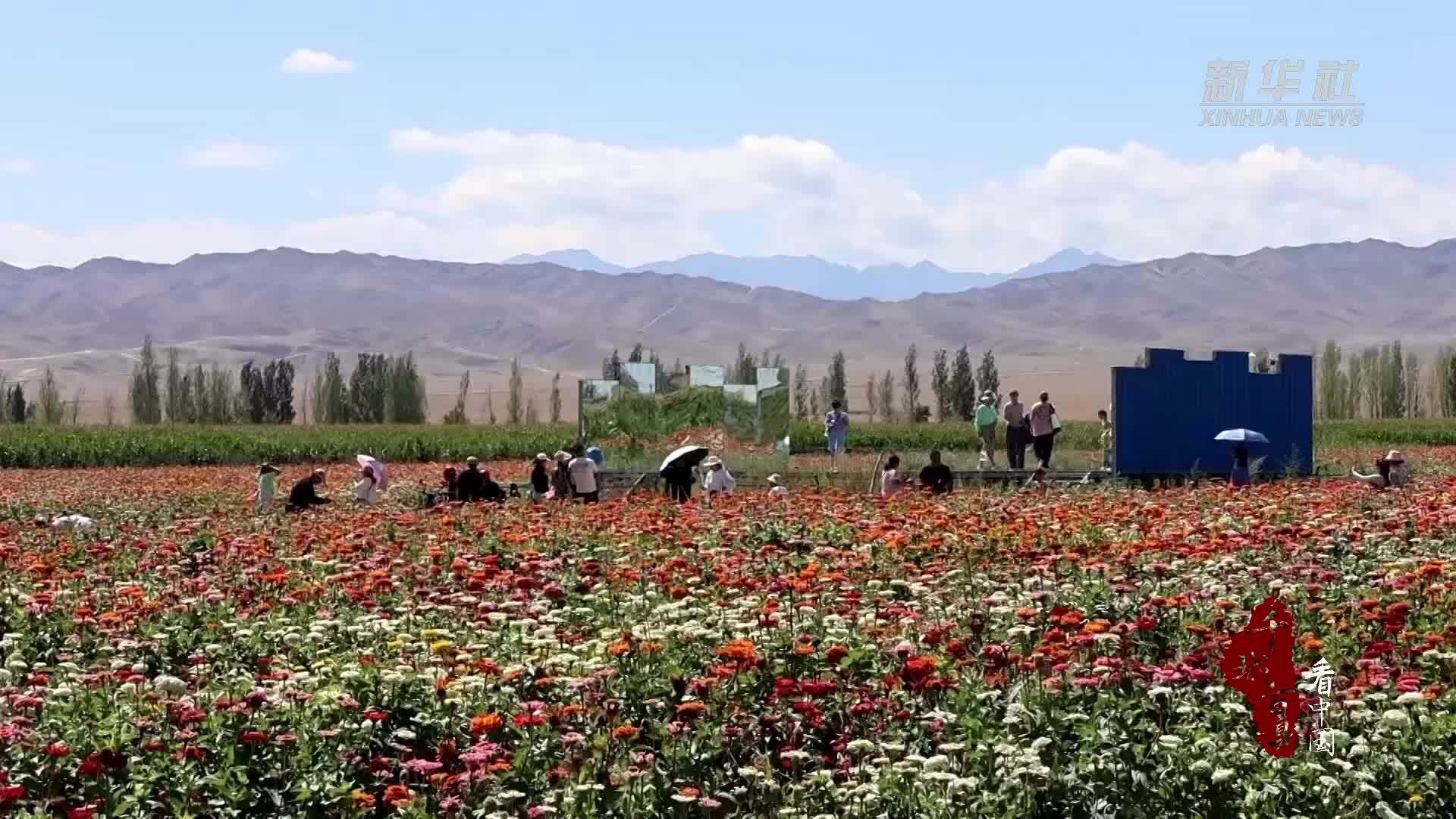 千城百县看中国｜新疆昌吉：第四届天山花海露营季在呼图壁县举行