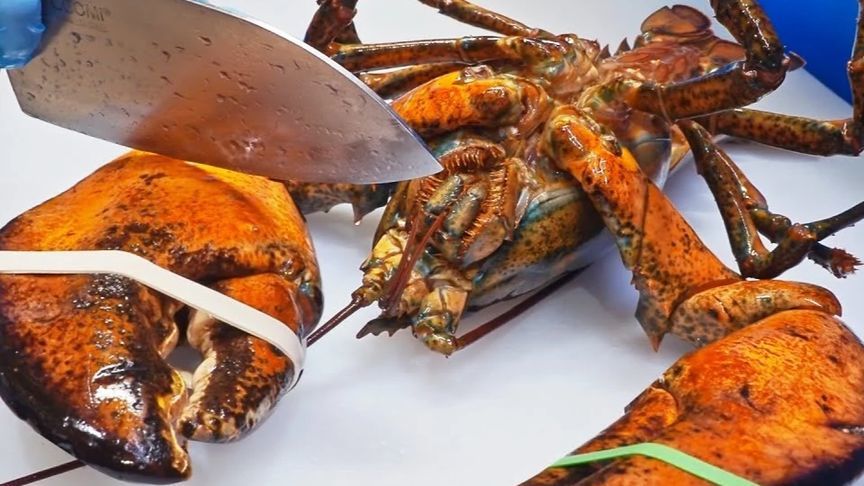 宰杀巨型龙虾，接近十斤大的龙虾王切割刺身吃，带兄弟们过过瘾