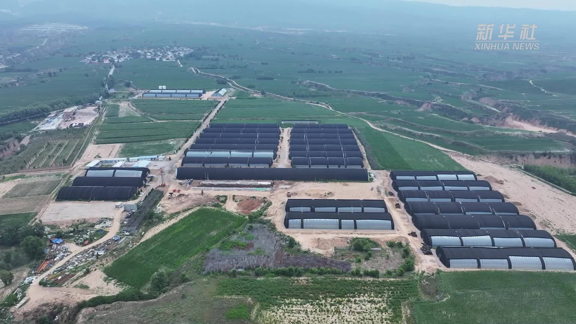 山西：“高校+企业+农户”构建生态循环农业生产模式