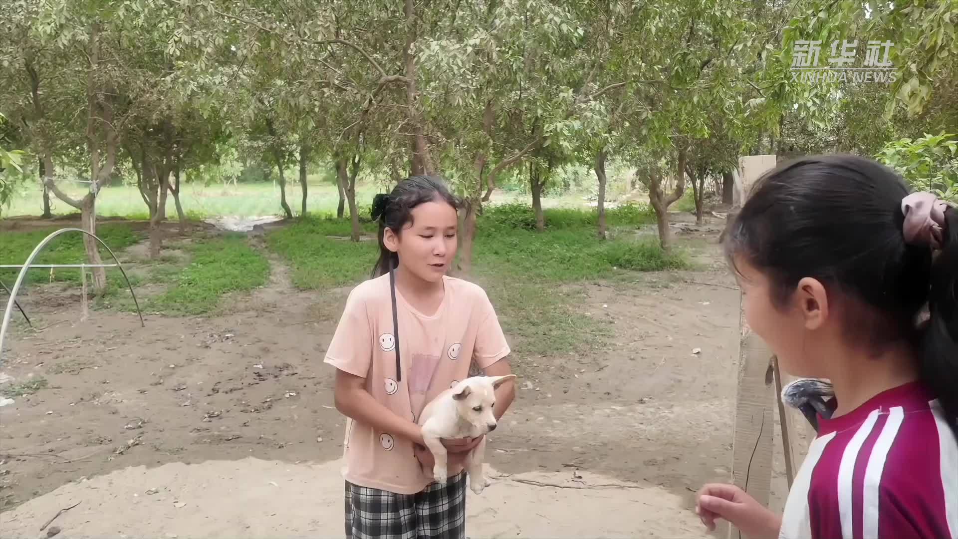 微纪录片｜“石榴籽孩子”的夏天：阿米乃姆的远方梦