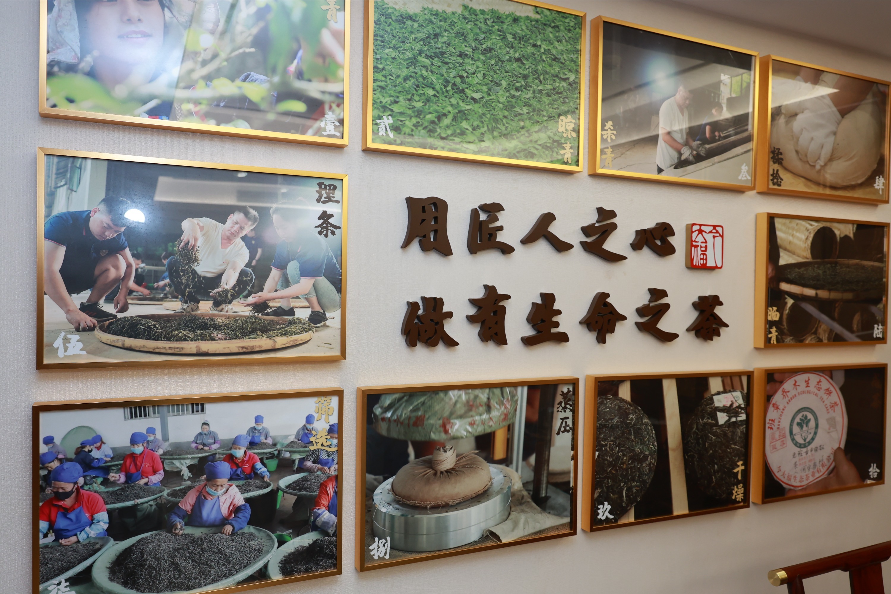 今大福新品首发东莞:以“班章珍藏青砖”续写普洱传奇,守正创新焕新章