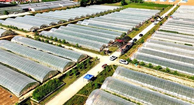 小村庄爆改网红打卡地　华亭这儿的村民吃上旅游饭