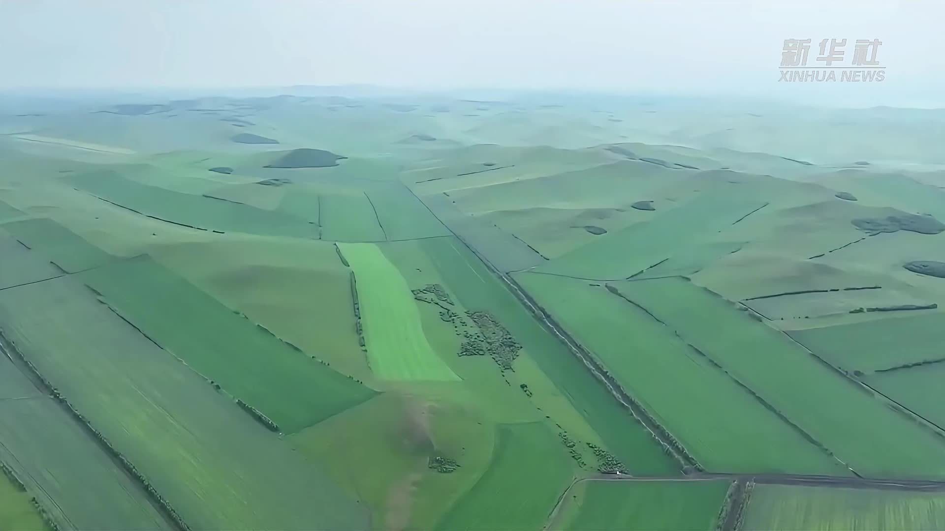 内蒙古：黑土地保护性耕作稳步扩面