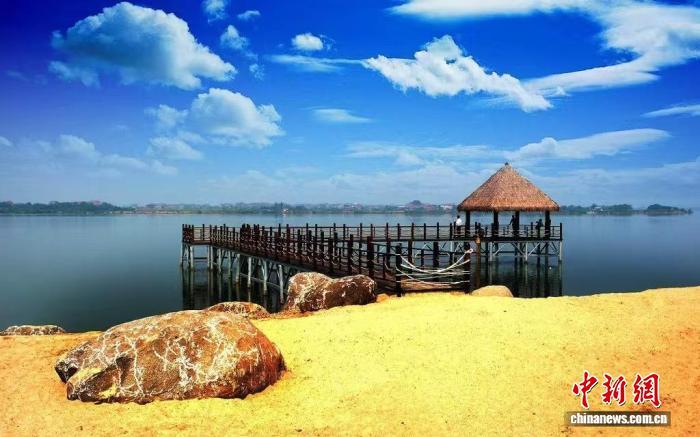 图为江西南昌瑶湖郊野森林公园。　南昌高新区融媒体中心供图