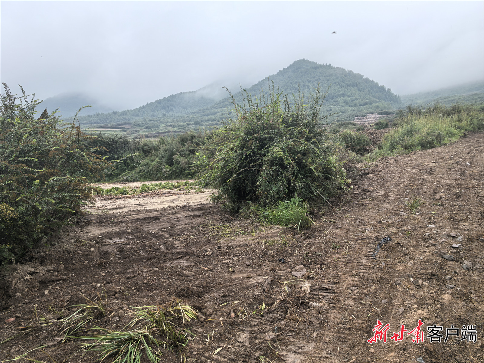 通往田间地头的路已经全部打通
