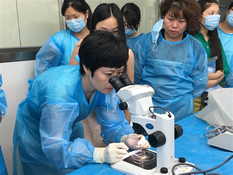 ⑥河南省疾控中心寄生虫病预防控制主任医师 邓艳