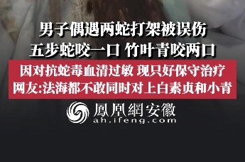 男子走路遇竹叶青和五步蛇打架，结果被两条蛇同时咬伤