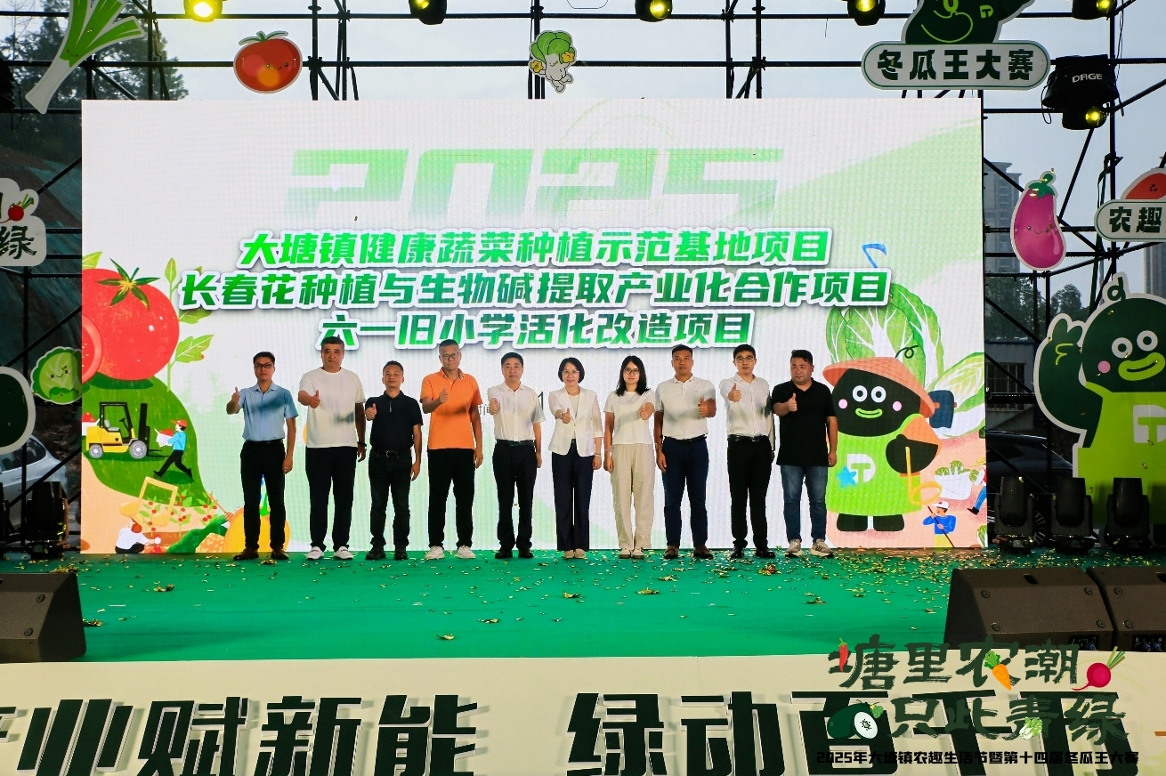 102.1斤黑皮冬瓜王诞生，大塘镇引领“农潮”新风尚