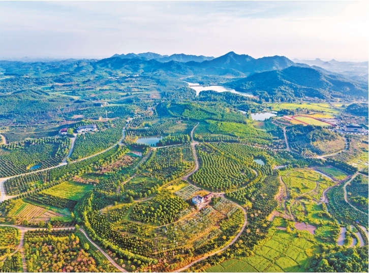 金溪县：废弃矿山变身花卉苗木基地（图）