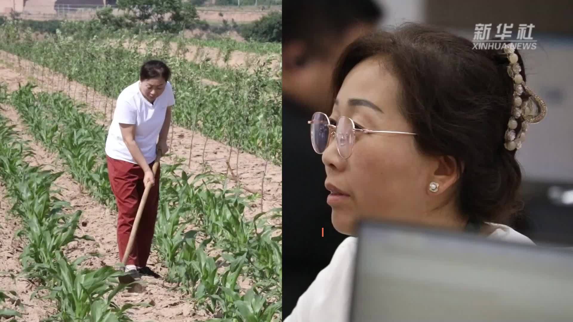 陕西铜川：农村女性变身人工智能训练师