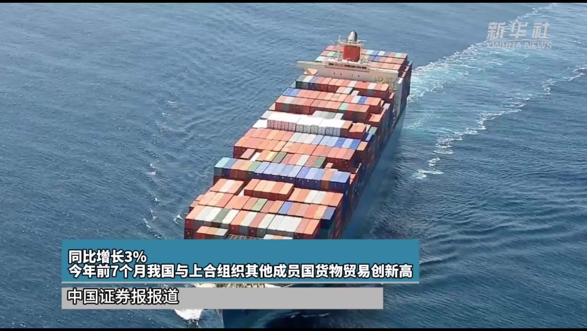 同比增长3% 今年前7个月我国与上合组织其他成员国货物贸易创新高