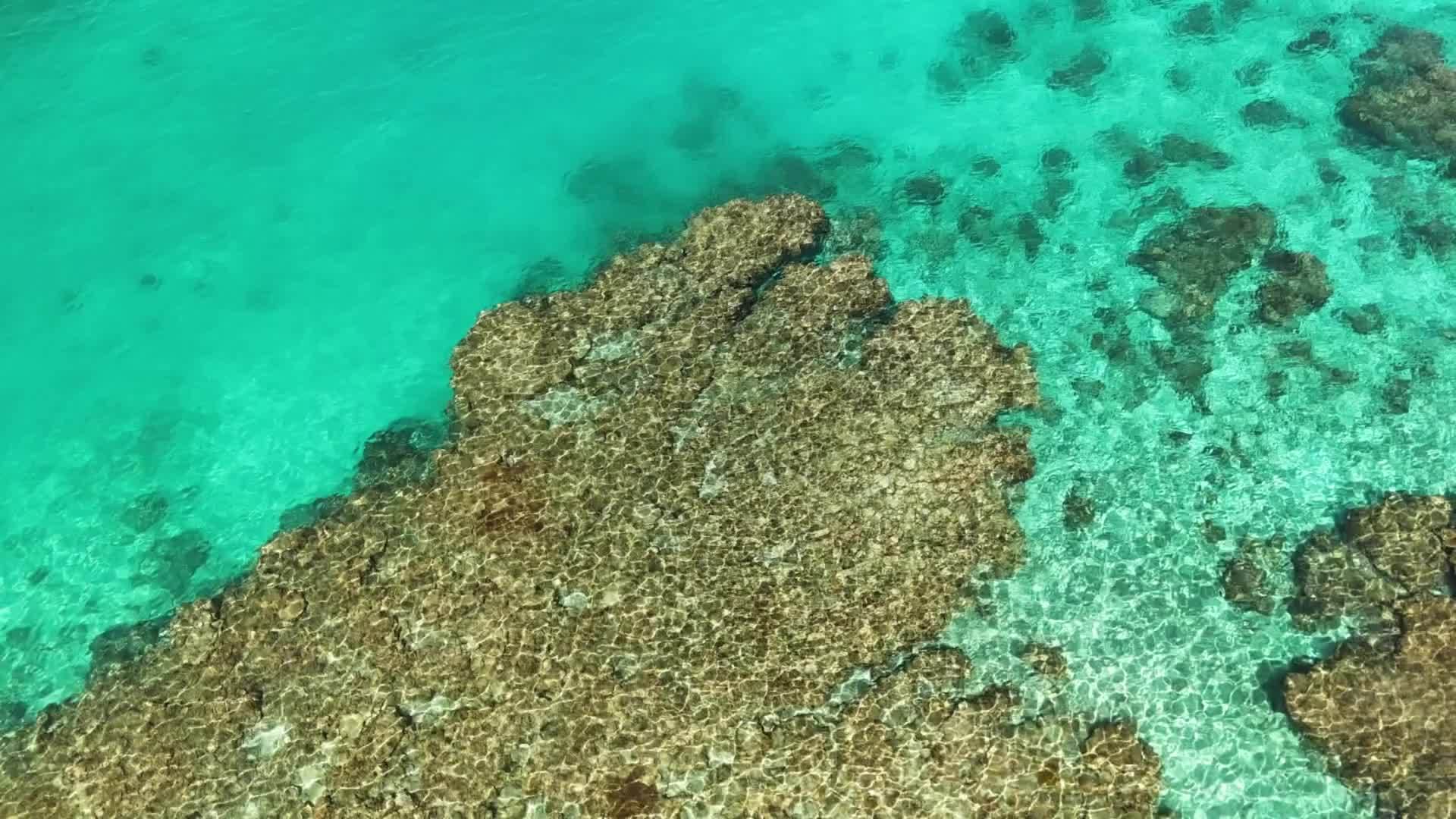 从“海上戈壁”到“南海绿洲”——子弟兵助力南海岛礁绿色生态可持续建设纪实