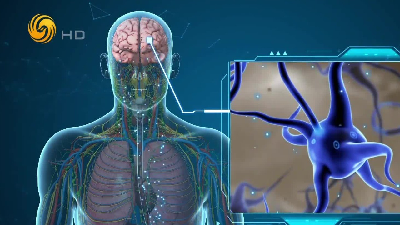 幽门螺旋杆菌或可治愈痴呆？专家解读预防痴呆症的颠覆性研究成果