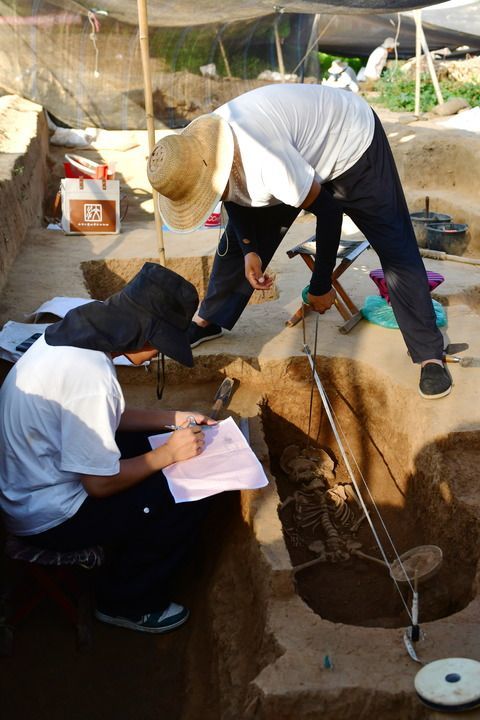 2025年7月14日，大汶口遗址考古队队员在遗址核心区内发掘。新华社记者 朱峥 摄